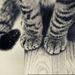 Profile Picture of Roger Huỳnh (@httnarch) on Pinterest