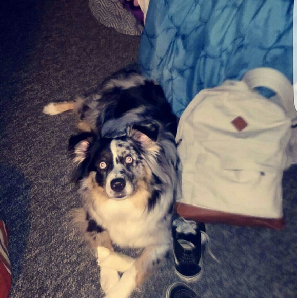 Profile Picture of Destiny Maroni (@destinymaroni) on Poshmark