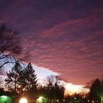 Profile Picture of Douglas Nguyen (@douglasnguyen70) on Instagram