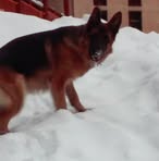 Profile Picture of Cathy Bordier (@cathy.bordier.73) on Facebook