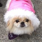Profile Picture of Marilyn Henninger (@chuckmarilynhenn) on Instagram