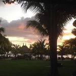 Profile Picture of Lucille Hudson (@hudsonlucille) on Instagram
