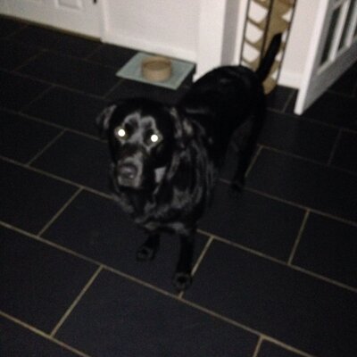 Profile Picture of David Muldowney (@muldowney_david) on Twitter