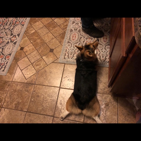 Profile Picture of Bryan Hains (@bryanhains95) on Poshmark