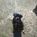 Profile Picture of Herman Mack (@herman.mack.967) on Facebook