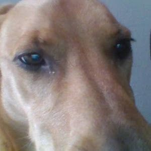 Profile Picture of benjaminhauser5 (@benjaminhauser5) on Tiktok