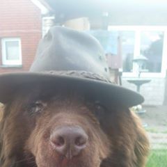 Profile Picture of Brigitte Sturm (@brigittesturm) on Tiktok