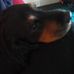 Profile Picture of Matthew Finch (@matthew.finch.1840) on Facebook