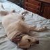 Profile Picture of Ron Garrison (@ron.garrison.92) on Facebook