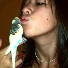 Profile Picture of Amy Randall (@geebsterlove) on Pinterest