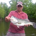 Profile Picture of Gary Witte (@Gary-Witte) on Facebook