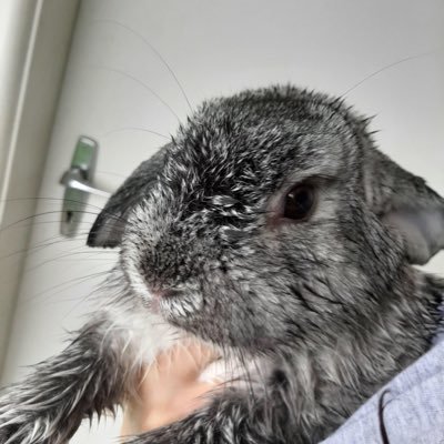 Profile Picture of Grant Wise (@granthwise) on Twitter