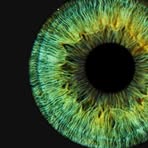 Profile Picture of Marko Radic (@Marko-Radic) on Facebook