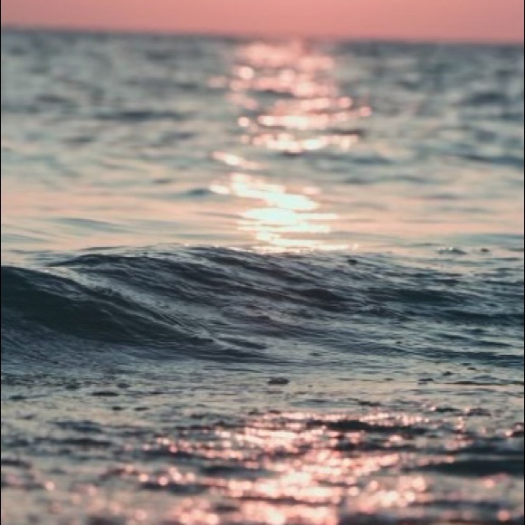 Profile Picture of Nadia Silva (@nadiasilva536) on Poshmark