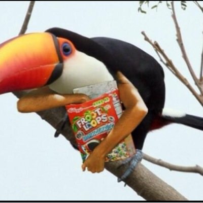 Profile Picture of John Sneden (@@JohnMau510) on Twitter