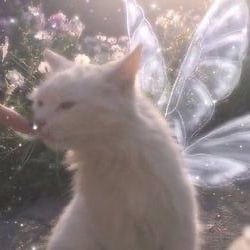 Profile Picture of Yanushka <3 (@yanu_naid) on Pinterest