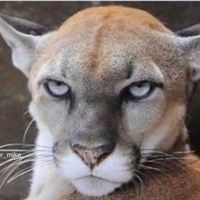 Profile Picture of Jimmy Keller (@jimmy-keller-13) on Quora