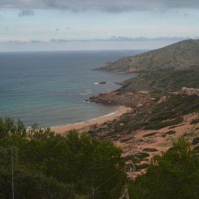 Profile Picture of Bep Prats Ciutadella (@caules_jose) on Twitter