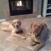 Profile Picture of Kenneth Page (@kenneth.page.5203) on Facebook