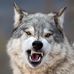 Profile Picture of Robert Bering (@robert.bering.10) on Facebook