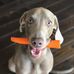 Profile Picture of Doug Clausen (@doug.clausen.522) on Facebook