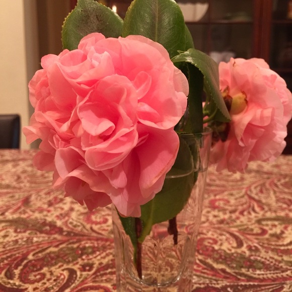 Profile Picture of Maria Tolentino (@maria236056) on Poshmark