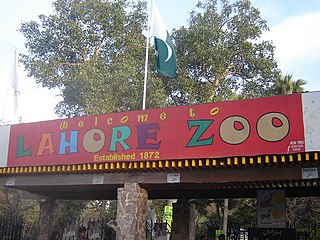 Profile Picture of Lahore Zooon Wikipedia