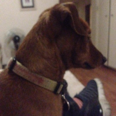 Profile Picture of Adam Levin (@KayemaEnergySol) on Twitter