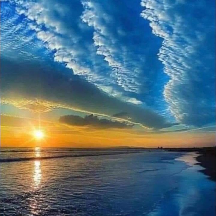 Profile Picture of Tomgardner3 (@tomgardner3) on Tiktok