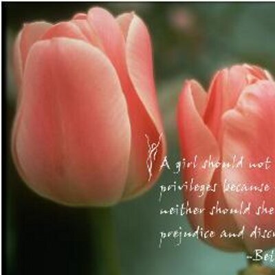 Profile Picture of ROHIT KRISHNA (@ROHITKRISHNA7) on Twitter