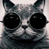 Profile Picture of Mikołaj Wielocha (@mikołaj-wielocha) on Quora