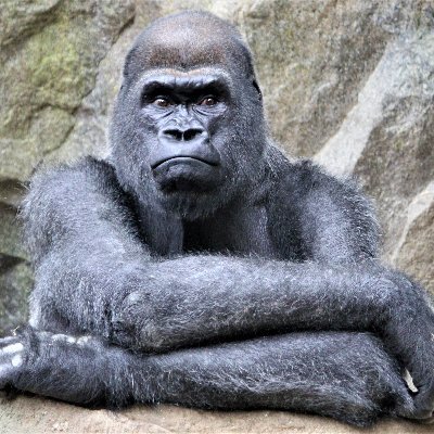 Profile Picture of Jay Dunckley (@DunckleyJay) on Twitter