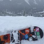 Profile Picture of cory_neilson (@cory_neilson) on Instagram