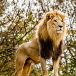 Profile Picture of Martin Finsta (@martintruitt360) on Instagram