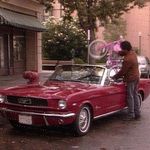 Profile Picture of Jason Streit (@tamishaschaarschmidt) on Instagram