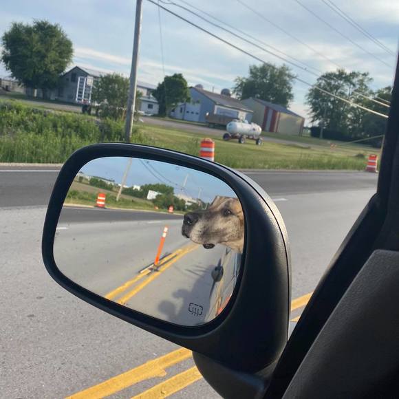 Profile Picture of Josh Struebing (@ajbing08) on Poshmark