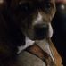 Profile Picture of Aaron Webb (@aaron.webb.73113528) on Facebook