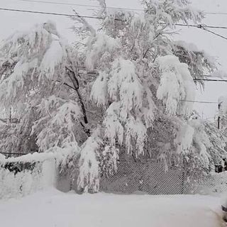 Profile Picture of Juju Taus (@juju.taus.3) on Facebook