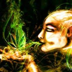 Profile Picture of Thomas Weed (@thomasweed11) on Twitter