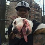 Profile Picture of Shawn Grimm (@grim3ygrim) on Instagram