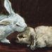 Profile Picture of Barbara Miles (@barbara.miles.5680) on Facebook