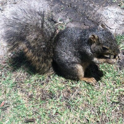 Profile Picture of Michael Ranney (@mrranney) on Twitter