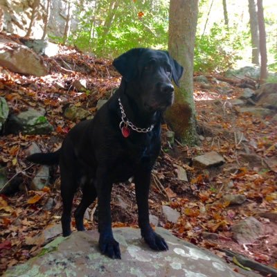 Profile Picture of Crystal Chaney (@fabmom2g) on Twitter