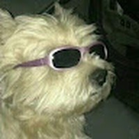 Profile Picture of Olivia Craine (@olivia-craine) on Quora