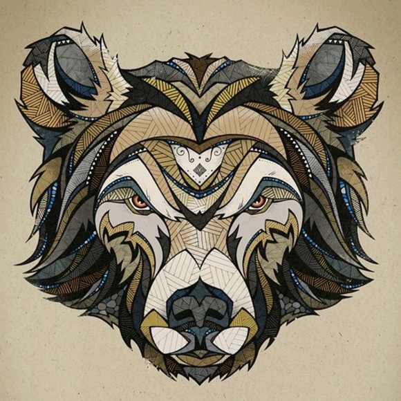 Profile Picture of Cale Collins (@kl156) on Poshmark