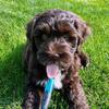 Profile Picture of Stanley Scott (@@stanleyscott_) on Tiktok