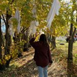 Ariana Larson - Instagram Profile Picture of Ariana Larson (@ariana_larson) on Instagram