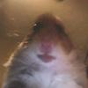 Profile Picture of isaacflores302 (@@isaacflores302) on Tiktok