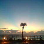 Profile Picture of tracy sipes (@tracypunkin) on Instagram