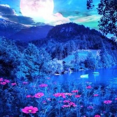 Profile Picture of Trista Wise (@Trist4W1se) on Twitter
